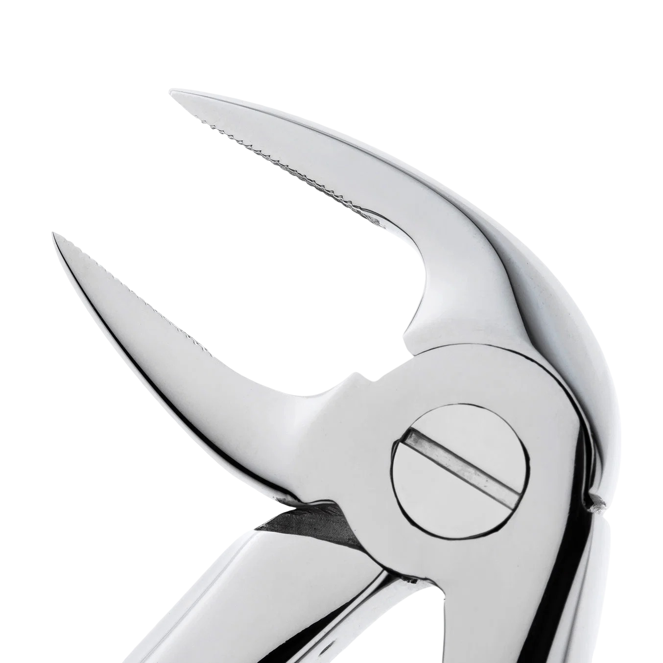 Premierdenta - Premier Denta